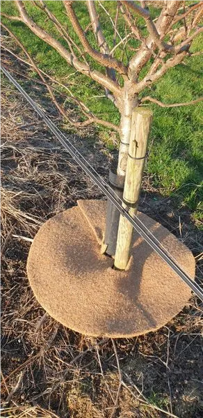 Kokosmatten