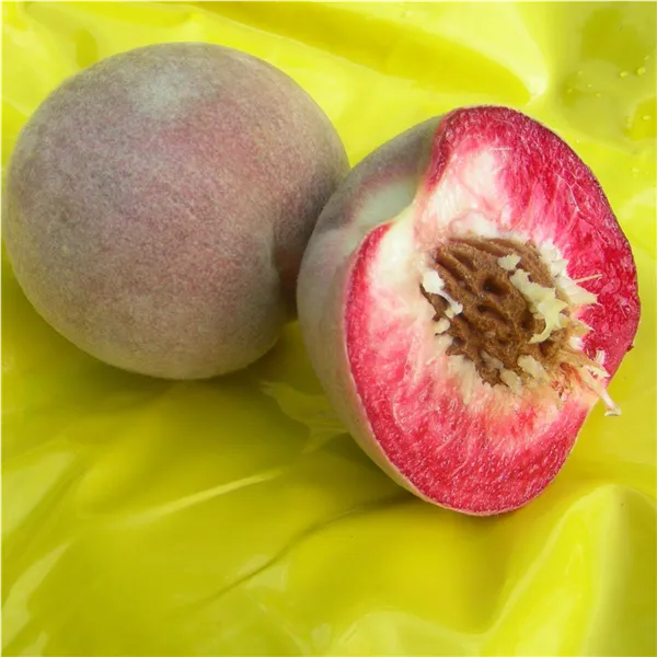 Prunus persica 'Rt.Weinbergpfirs.' zert.vf Pfirsich 'Roter Weinbergpfirsich'