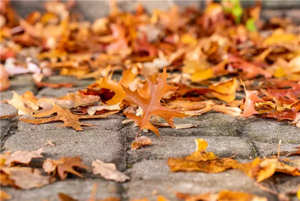 Tipps im Herbst