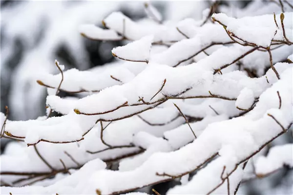 Tipps im Winter
