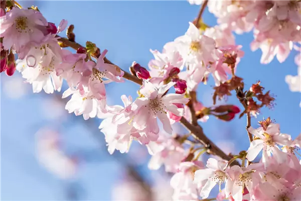 Tipps im Frühling