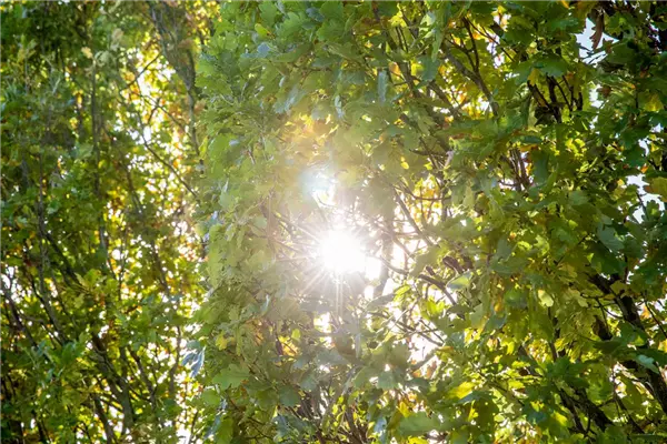 Tipps im Sommer